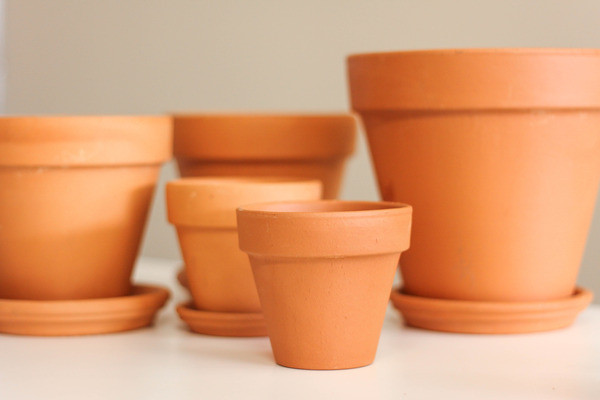 How to Clean Dirty Terracotta Pots