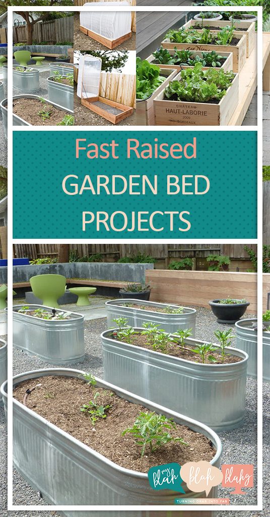 Fast Raised Garden Bed Projects