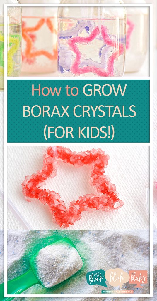 experiment with borax