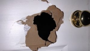Patch A Hollow Door