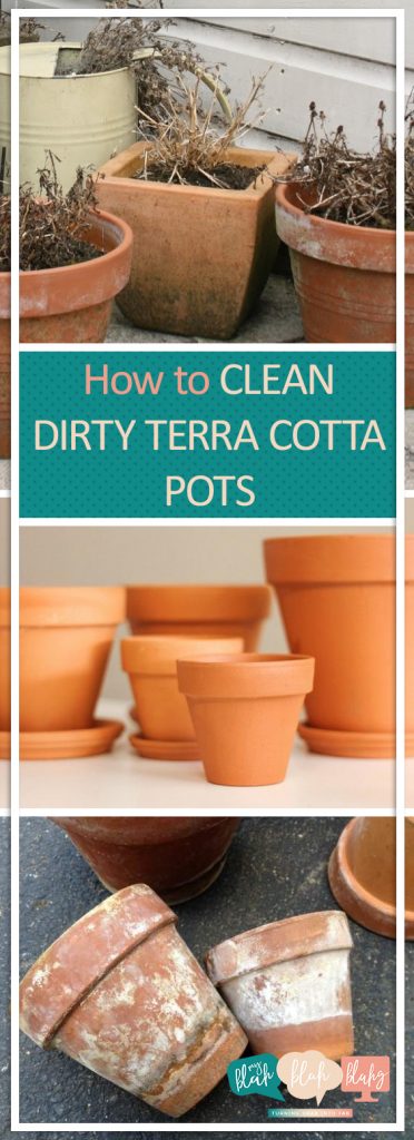 How to Clean Dirty Terracotta Pots