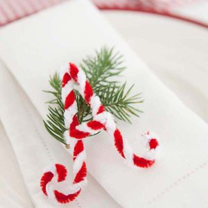 Creative Table Napkins | Creative Table Napkin Ideas | Holiday Table Napkins | Creative Holiday Table Napkins | Table Napkin Decor | Fancy Table Napkins | Folded Table Napkins