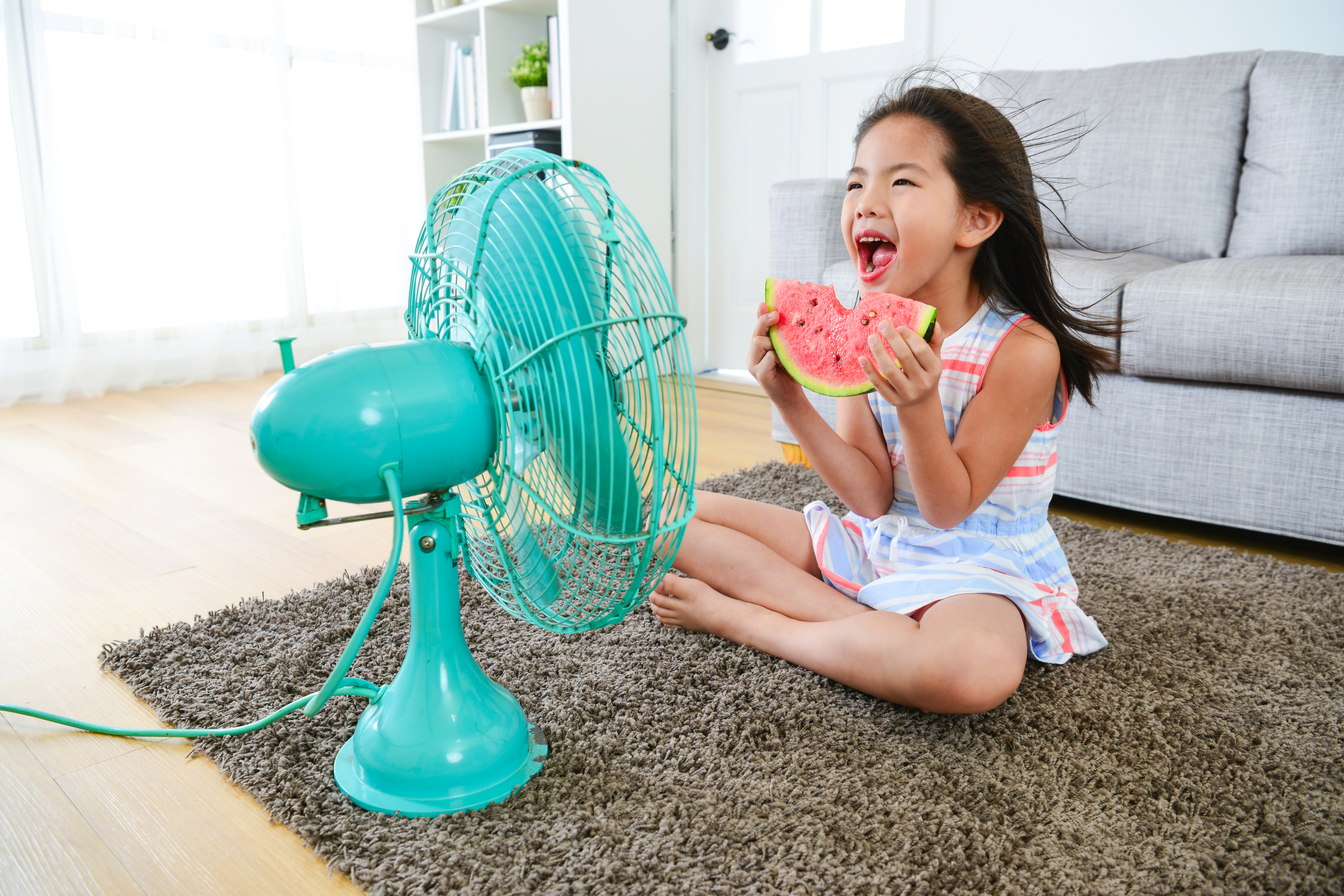 summer heat | heat survival | summer heat survival guide | survival guide | guide | guide to survive summer heat | heat