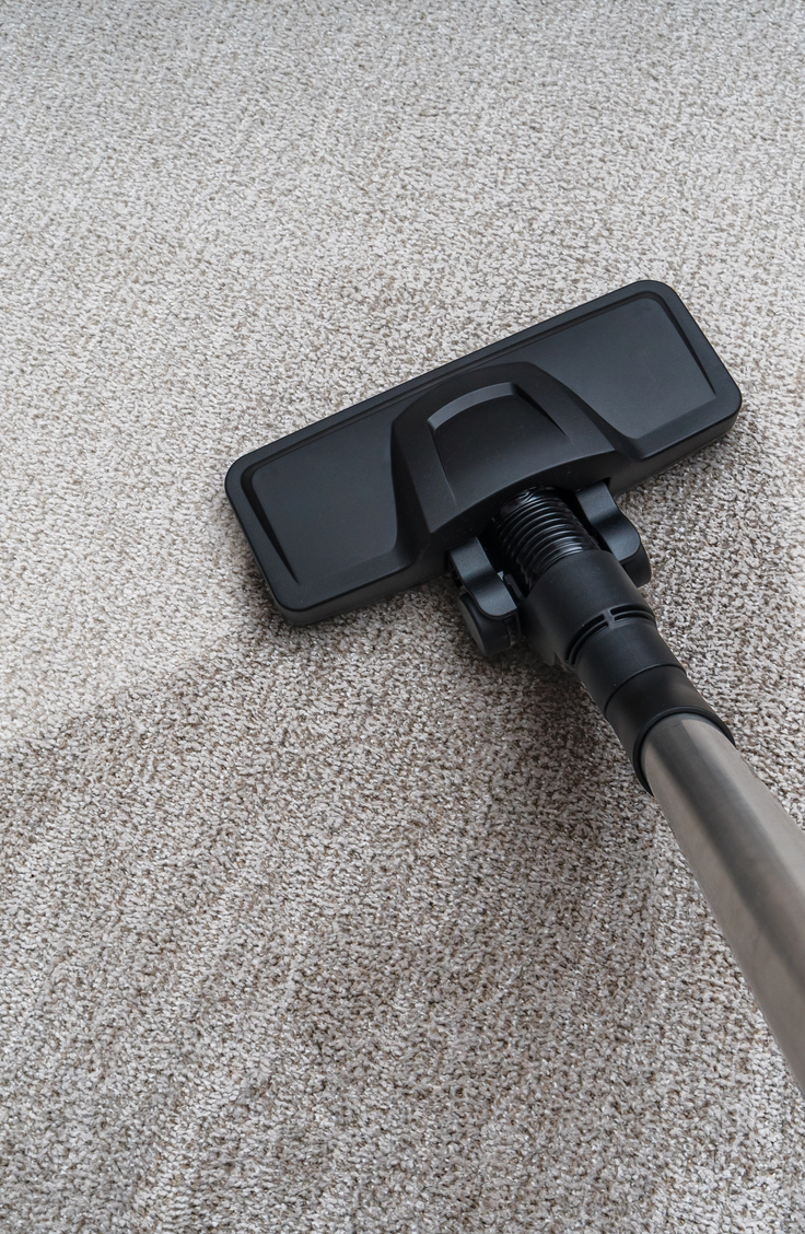 A vacuum cleaning carpet. Life Hacks!