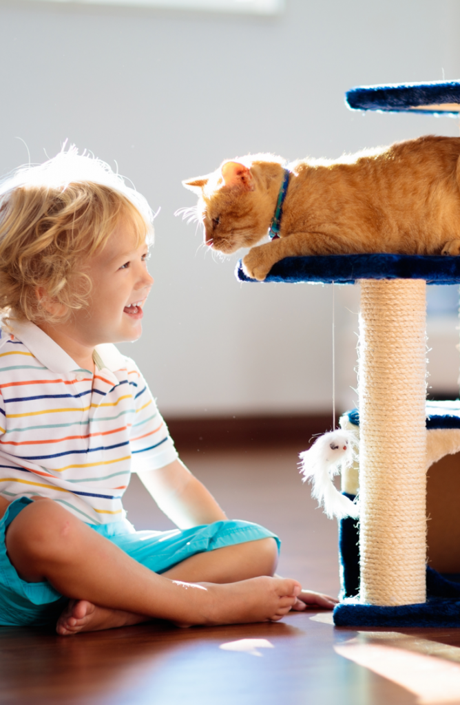 Whether you have a boy, a girl, a calico, or are just looking for some cute kitten names, we've got you covered. Your kid will love playing with your kitty!