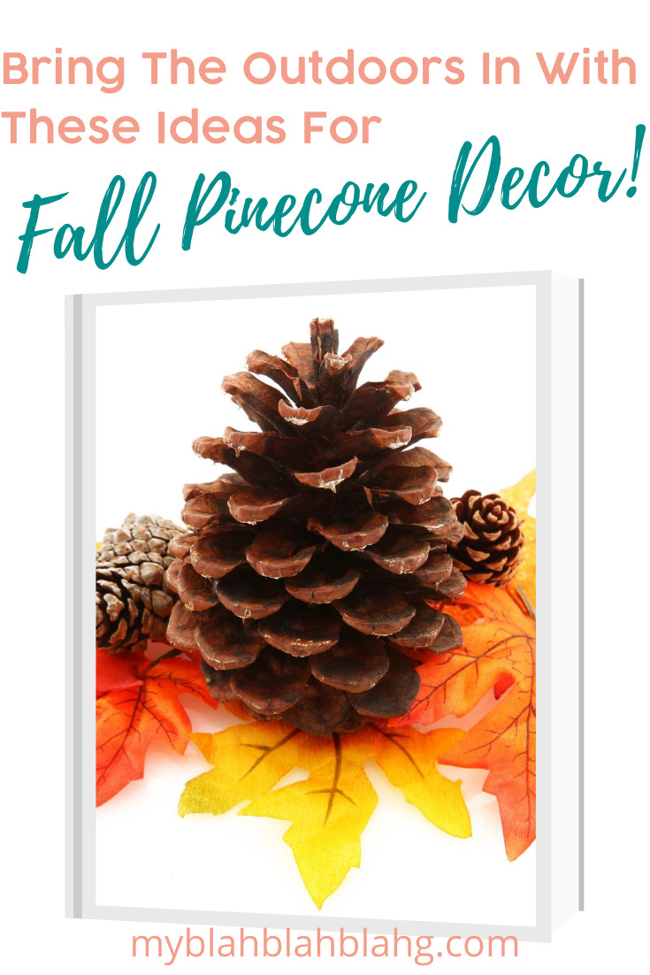 Fall is my favorite time of year. I love to incorporate fall pinecone decor in my home. It's a natural look and feel that brings the outdoors in. Who doesn't love the cooler days? Why not bring a touch of that inside? Keep reading for more info. #fallpineconedecor #homedecorideas #naturalhomedecor #myblahblahblahgblog