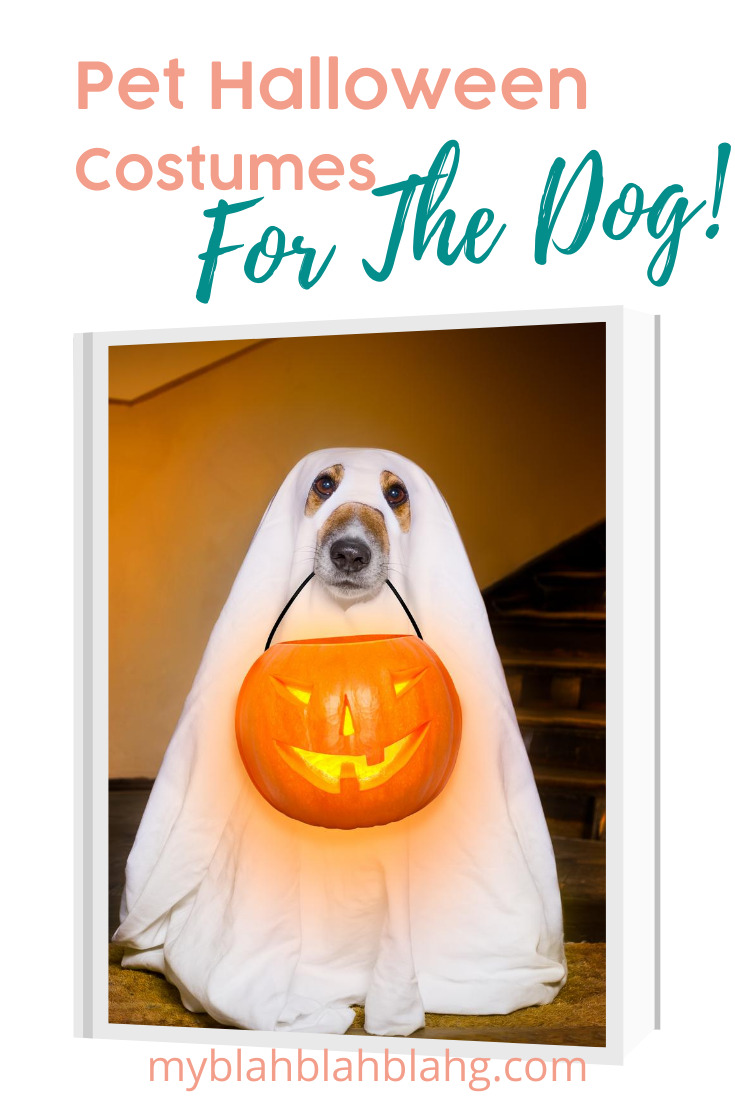 If you love your fur baby, you don't want to leave them out for Halloween. Dress them up in a cute costume. Maybe even go in a matching costume. Have fun with your pet. Read this post for awesome pet costume ideas from My Blah Blah Blahg. #pethalloweeencostumes #halloweencostumesfordogs #halloweencostumesforcats #myblahblahblahgblog